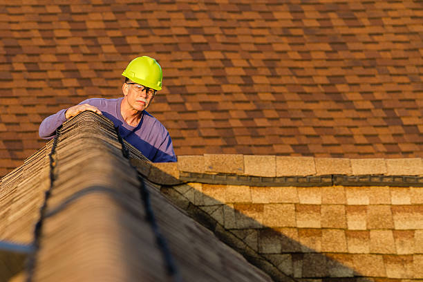 Best Shingle Roofing Installation  in Colonial Heights, TN