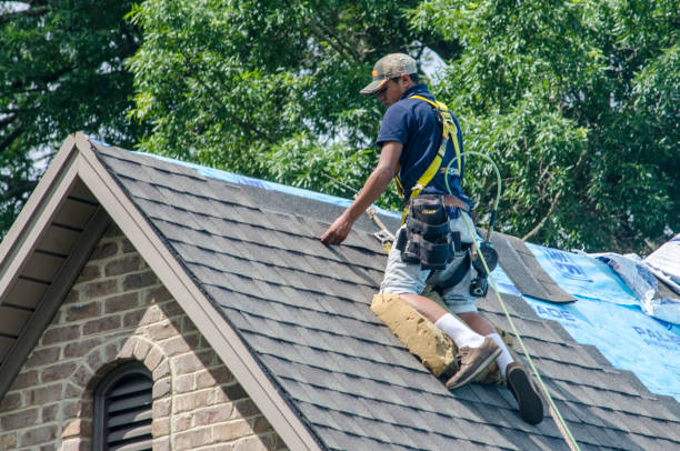 Best New Roof Installation  in Colonial Heights, TN